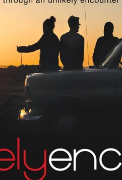 Постер: Где царит красота / The Unlikely Encounter (2017)