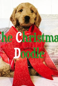 Постер: Голдендудль на Рождество / The Christmas Doodle (2020)