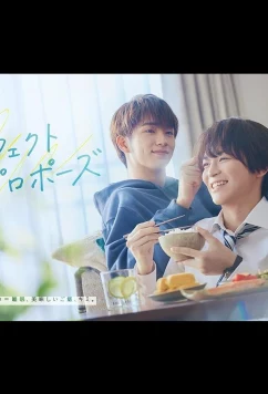 Постер: Идеальное предложение / Perfect Propose (2024)