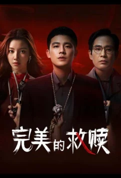 Постер: Идеальный подозреваемый (2025)