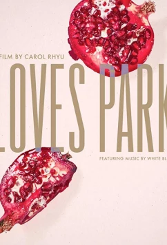 Постер: Искра любви / Loves Park (2017)