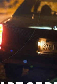 Постер: Искусство обмана / Art of Deception (2019)