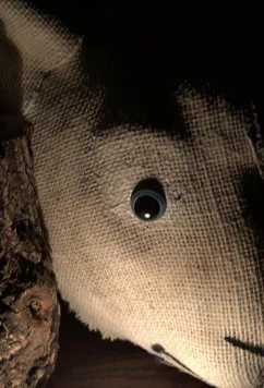 Постер: История Марии / Maria's Tale (2018)