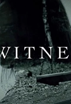 Постер: Я, свидетель / I, Witness (2017)