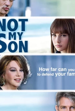 Постер: Это был не мой сын / Non è stato mio figlio (2016)