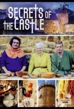 Постер: Как построить средневековый замок / Secrets of the Castle with Ruth Peter and Tom (2014)