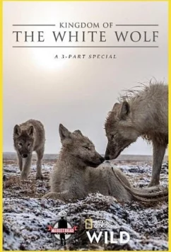 Постер: Королевство белого волка / Kingdom of the White Wolf (2019)