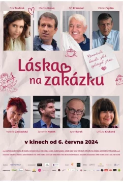 Постер: Любовь на заказ / Láska na zakázku (2024)