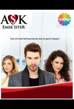 Постер: Любовь требует усилий / Aşk Emek İster (2013)