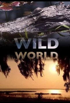Постер: Мир Дикой Природы / Wild World (2010)