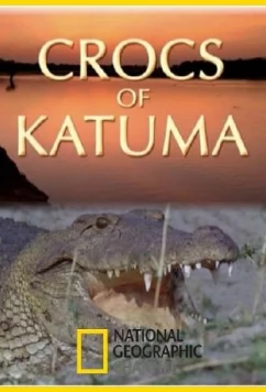 Постер: National Geographic. Крокодилы Катумы / Crocs of Katuma (2010)
