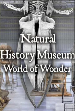 Постер: Natural History Museum: World of Wonder (2021)