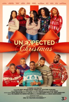 Постер: Неожиданное Рождество / Unexpected Christmas (2025)