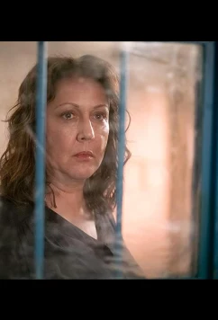 Постер: Нежный капкан / The Tender Trap (2021)