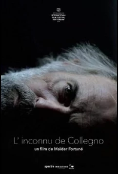 Постер: Незнакомец из Колленьо / L'inconnu de Collegno (2019)