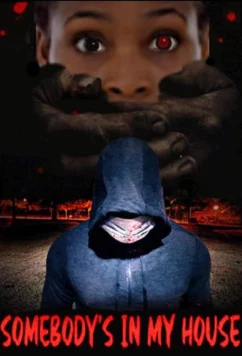 Постер: Незнакомец в моем доме / Somebody's in My House (2020)