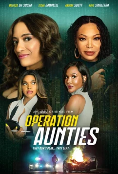 Постер: Операция: Тётушки / Operation: Aunties (2025)