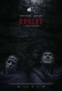 Постер: Овраг / Hasadék (2021)