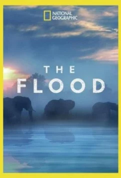 Постер: Потоп / The Flood (2018)