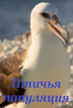 Постер: Птичья популяция / Bird Nation (2018)