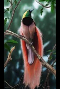 Постер: Райские птицы (2021)