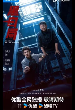 Постер: Развилка к правде / Игра в черное и белое / Чёрно-белое бюро / Double Track Puzzle / Hei Bai Ju (2025)