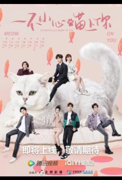 Постер: Случайный мяу / Accidentally Meow on You (2024)