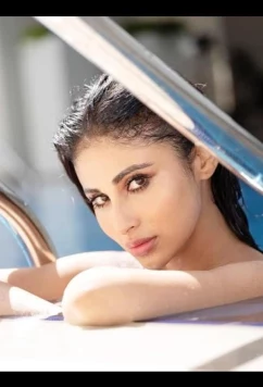 Постер: Советник / Salakaar (2025)