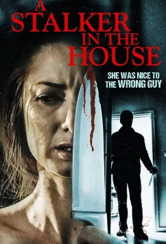 Постер: Сталкер в доме / A Stalker in the House (2021)