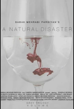 Постер: Стихийное бедствие / A Natural Disaster (2016)