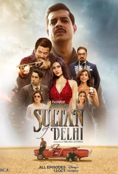 Постер: Султан Дели / Sultan of Delhi (2023)