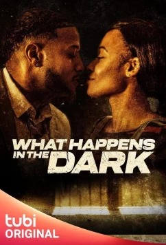 Постер: Тёмные делишки / What Happens in the Dark (2023)