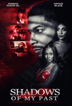 Постер: Тени моего прошлого / Shadows of My Past (2023)