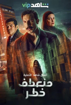 Постер: Убийство / Dangerous Curve (2022)