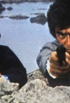 Постер: Ужасающая одержимость / Mayaku baishun G-men: Kyôfu no niku jigoku (1972)