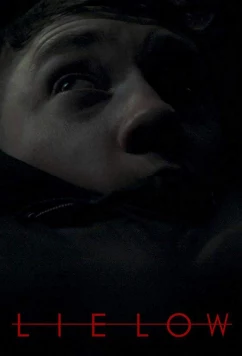 Постер: Залечь на дно / Lie Low (2019)