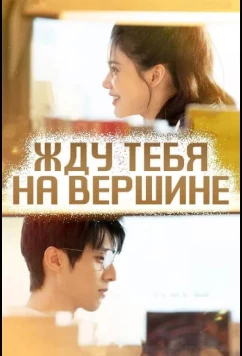 Постер: Жду тебя на вершине (2025)