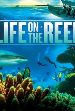 Постер: Жизнь на Большом Барьерном рифе / Life on the Reef (2014)