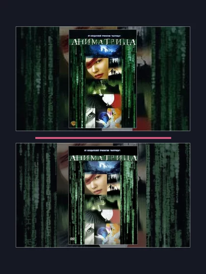Постер: Аниматрица