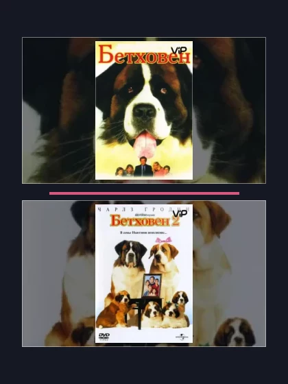 Постер: Бетховен