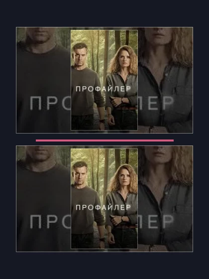 Постер: Профайлер: все части