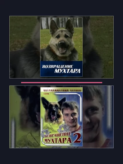 Постер: Возвращение Мухтара: все части