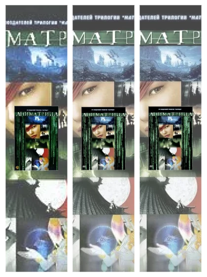 Постер: Аниматрица