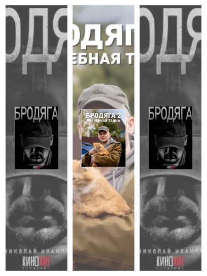 Постер: Бродяга: все части смотреть онлайн и скачать торрент в хорошем качестве