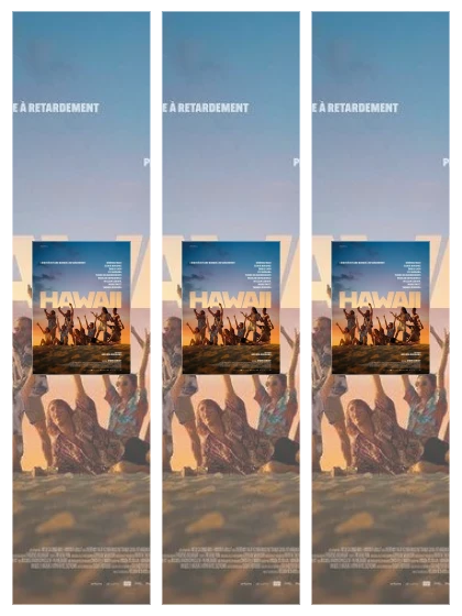 Постер: Гавайский роман