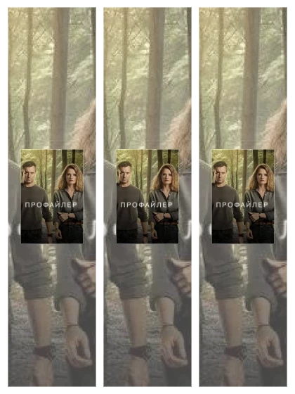 Постер: Профайлер