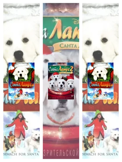 Постер: В поисках