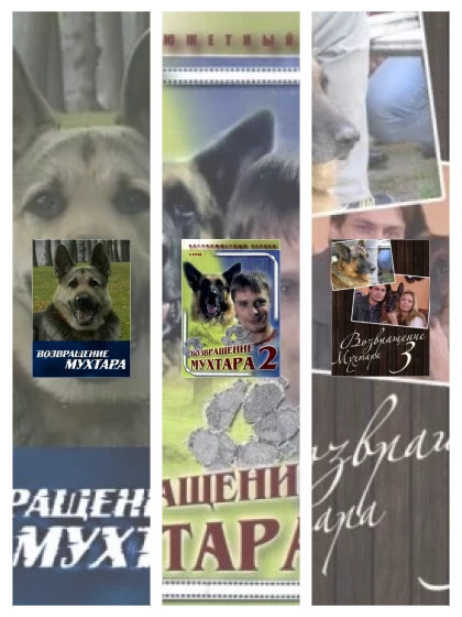 Постер: Возвращение Мухтара